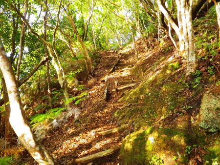 こっちは雌岳と違って階段があって登りやすいけど結構な急登になっている