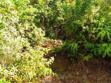 さて次があるのでさっさと下山することにした