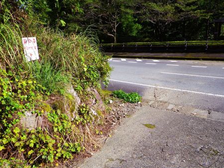 嶽ノ森山登山口まで下ってきて道路まで出てきた。お疲れ様でした