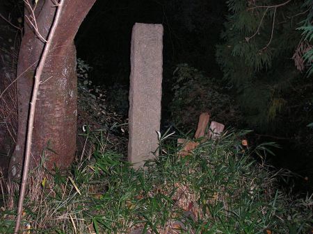 テニスコート裏から入って嶽山山頂へ。山頂は楠公龍泉寺城跡という石碑が刻まれていた