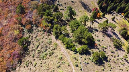 空撮して上から見ると登山道があるように見えるんだけどこっち側に行くとどこに辿り着くのかな！？