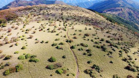 上空から稜線を見てみるとまるで緑の羊がいるような感じになってる。それにしても気持ちよさそうな稜線