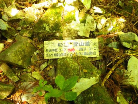 看板が落ちていた。フトウガ峰の山頂まで５０分と結構短いコースなのね！？