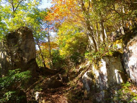 巨岩があってすでに樹林も色づいている。この付近は何の印もないので迷いやすいかも
