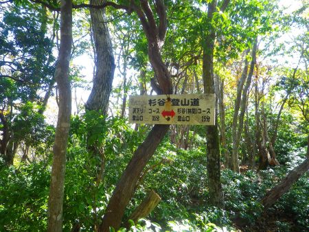 ここで沢下りコースとの分岐。沢下りコースの地図は入れてなかったので今回はピストンするしかない