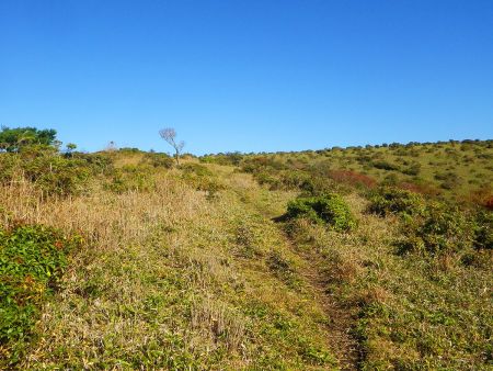 樹林帯を抜けると高原地帯のようになっていた。右側のピークがフトウガ峰だろう