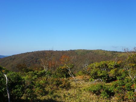 左側を見てみると段ヶ峰の山頂が見えた。結構距離ありそうな感じだね