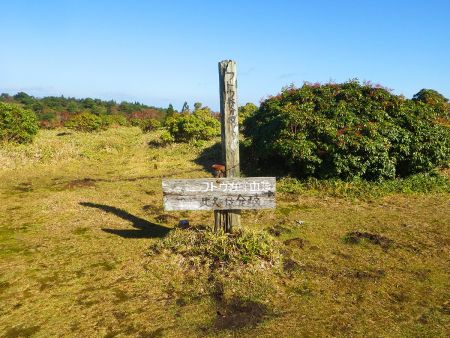 フトウガ峰分岐。ここで左にいくと段ヶ峰だけど先にフトウガ峰の山頂へ行ってみるので右へ