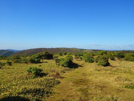 さて本命の段ヶ峰に向かっていく。ここからはこまめなアップダウンがあるくらいなはず