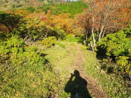 フトウガ峰分岐から一旦下りになっている