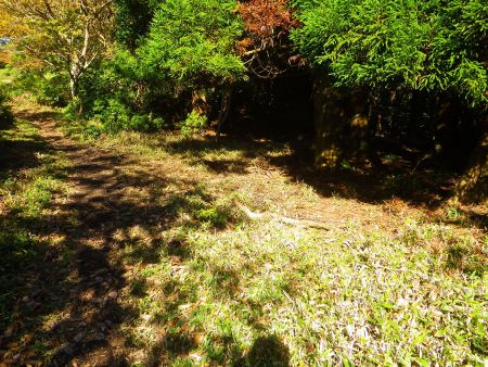 ここで国土地理院地図を見ると右側の樹林帯の中に入っていくんだけど、行ってみるとぬかるんでいるので道なりに行くことにした