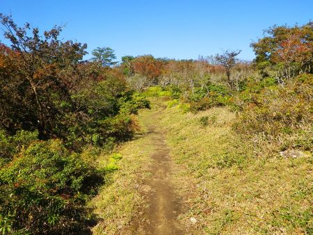 ここからさっき下ったぶんを登っていくんだけどなだらかな登りなので余裕