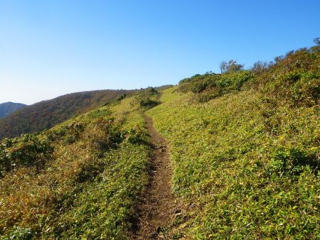 気持ちの良い稜線歩き。フトウガ峰からの登山道は歩いていて本当にいい感じ