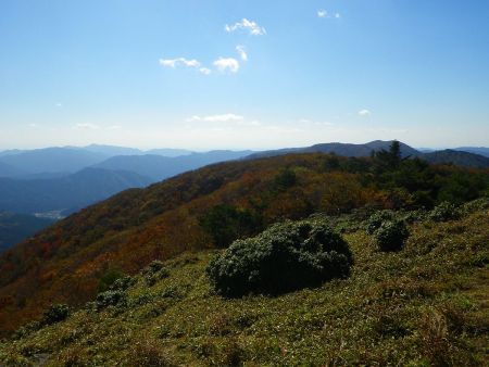 西側の山はすっかり色づいてきているみたいだけど気温の違いがあるのかな！？