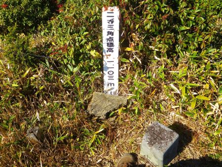 下山途中にやっと発見した段ヶ峰の三角点。杉山へいく道に入ったところにあったので撮影しておいた