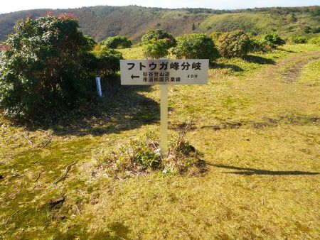 フトウガ峰分岐から杉谷登山道で下山を開始。ピストンは嫌だけど仕方ないよね