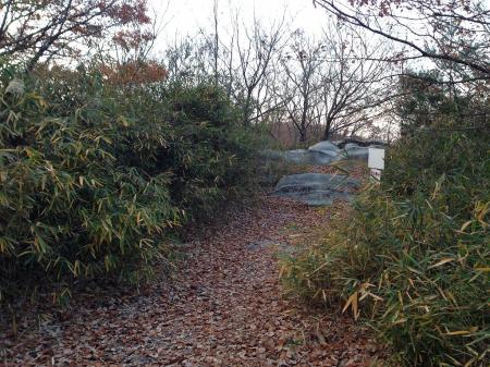 ところどころ岩から離れる