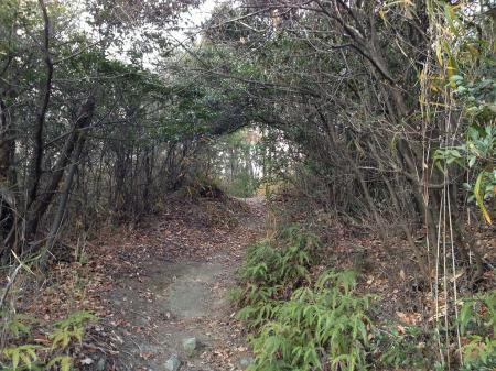 屯鶴峯の山頂手前