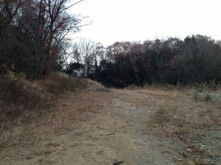 ここを少しあがっていく