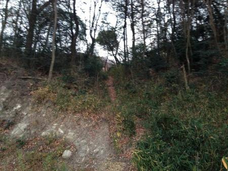 この向こう側から車の音が聞こえる