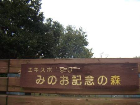 エキスポ90みのお記念の森から南西に道路を歩いていく