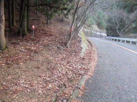 道路よりこの左側の鉄塔No33と34の間から関電道を登っていく