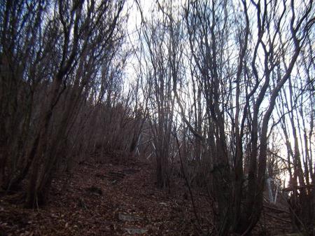 鉄塔No34が見えてくる