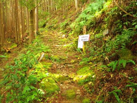 烏帽子山登山口から入山する