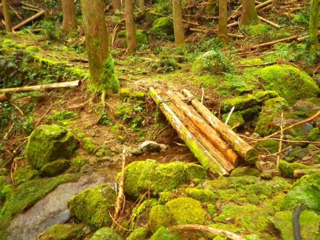 何度か沢を渡る場所があるんだけど、この橋というか木は信用できるのかと思いながら渡る