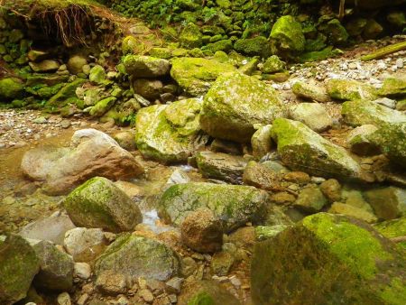 ここの沢も渡らないといけないけど、苔で滑ったりするので安易にジャンプしたりできないので慎重に渡る