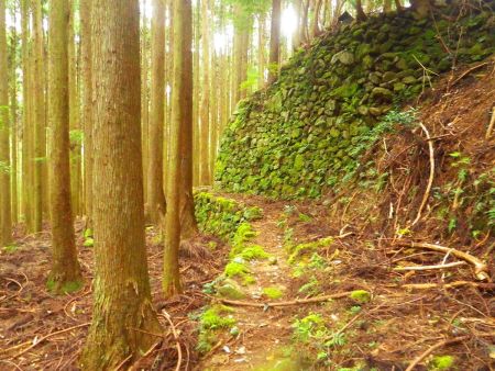 この付近はこういった人工的な石垣が多いんだけど昔何かあったのかな！？