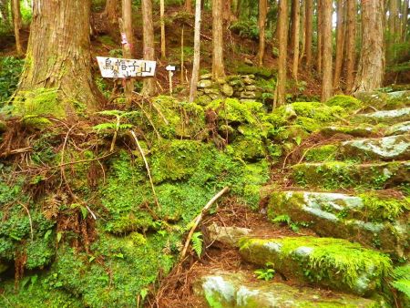ここも烏帽子山登山口になってる。道標に従って階段を登って左にいく