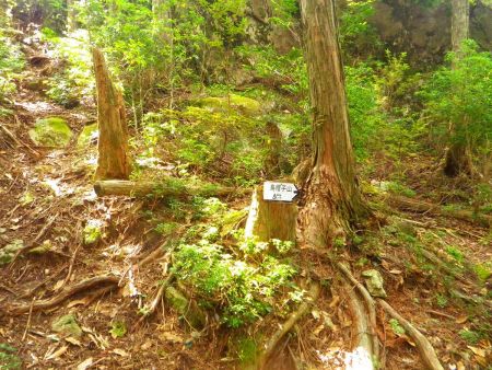 ここで一旦下るんだけど、正面上にある岩に登って展望地がありそうだったのでコースから外れて左側へ少し登った