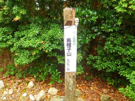 せっかくなので烏帽子山の山頂で雪村あおいちゃんを撮影しておいた