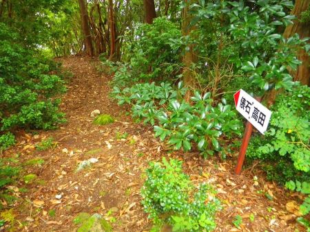 さて、雨も降ってきたことだし休憩もしたのでさっさと下山することにした