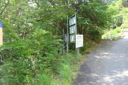 ここから沢へ下る