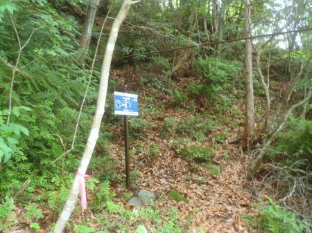 結局断念して登山道より林道へ戻る