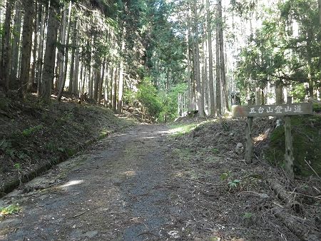 地図通りにこのまま林道を直進して鴨内峠を目指す