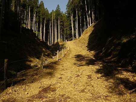 舗装道が終わって少し歩きにくい砂利道を登っていく