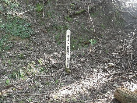 頂上まで2000mという案内標識が立っていた。細かいつづら折れの道になっているので実際の距離は地図とは少し違う