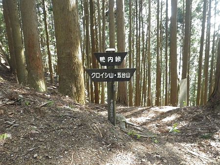 体力的にも足も全然平気そうだから、この段階では五台山をピストンして戻ってきたらクロイシ山をピークハントする予定だった