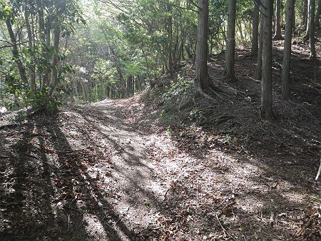 鴨内峠から先はしばらくなだらかな尾根道になってるんだけど、無駄なピークは巻いたルートになっていた