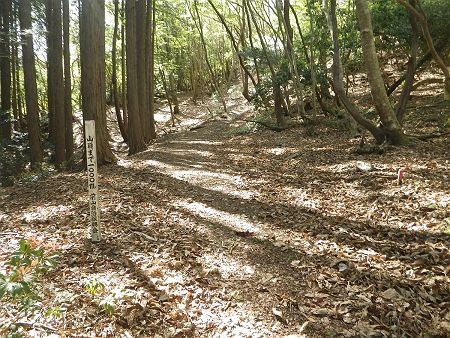 山頂まで1000m地点。ここから尾根を直登しないで、つづら折れの登山道を登っていくことになる