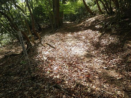 山頂まで600m地点。つづら折れの道が続いてるけど、ピークらしきところがまだ見えない