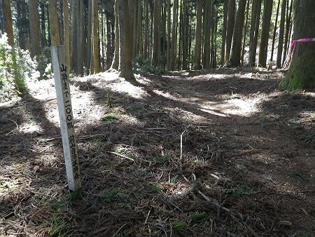 つづら折れの道が終わって尾根に登ると山頂まで200m地点になっていた。ここまでくるとあともう少し