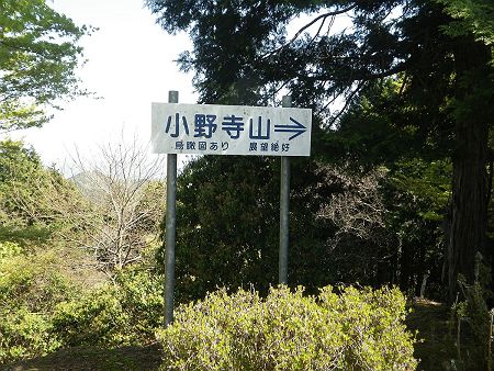 展望を望んで満喫したところで、すぐ隣の小野寺山をピークハントすることにした。ちなみに今は展望が良くないことは知っていた