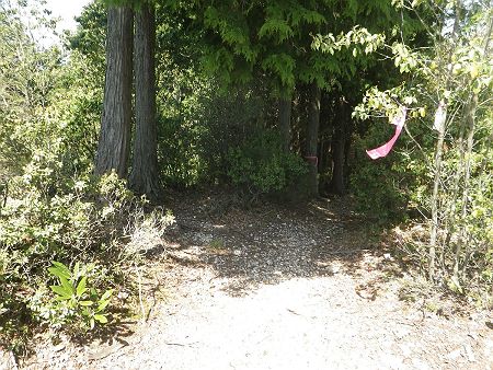 スマホで調べた結果、狸穴の源泉の位置とルートの詳細がわかったのでルートを変更して下っていくことにした