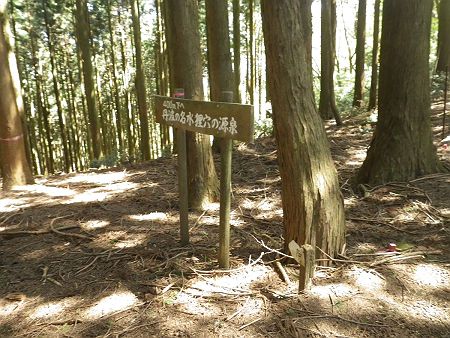 コル部より狸穴の源泉のほうへ下っていく。ここからは踏み跡もない完全バリルートになるんだけど、ルーファイしていくのが楽しみ