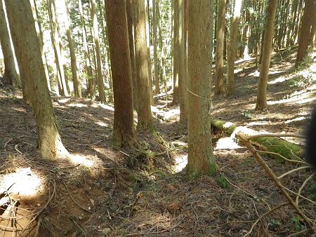 もはや水は流れていないけど谷筋に出た。この谷沿いを下っていけば狸穴の源泉の位置へ辿り着くはず