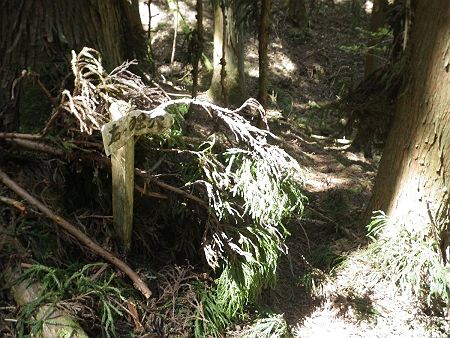 谷を下っていくと右下が狸穴というボロボロの案内プレートがあった